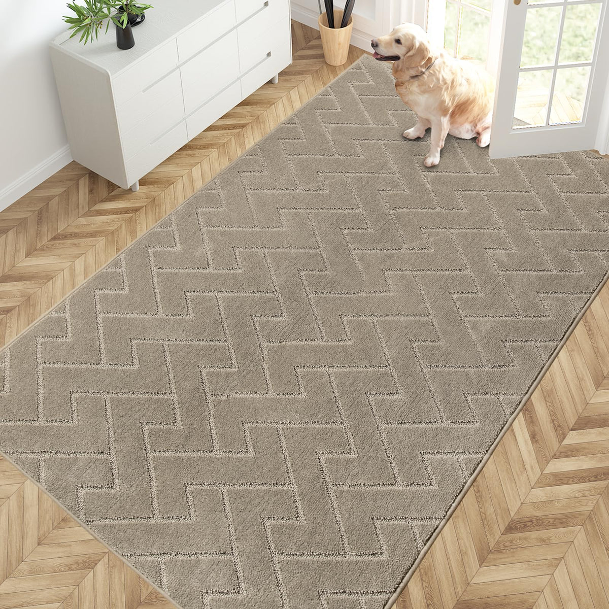 PURRUGS Dirt Trapping Door Mat Indoor Entrance, 32" x 47", Taupe