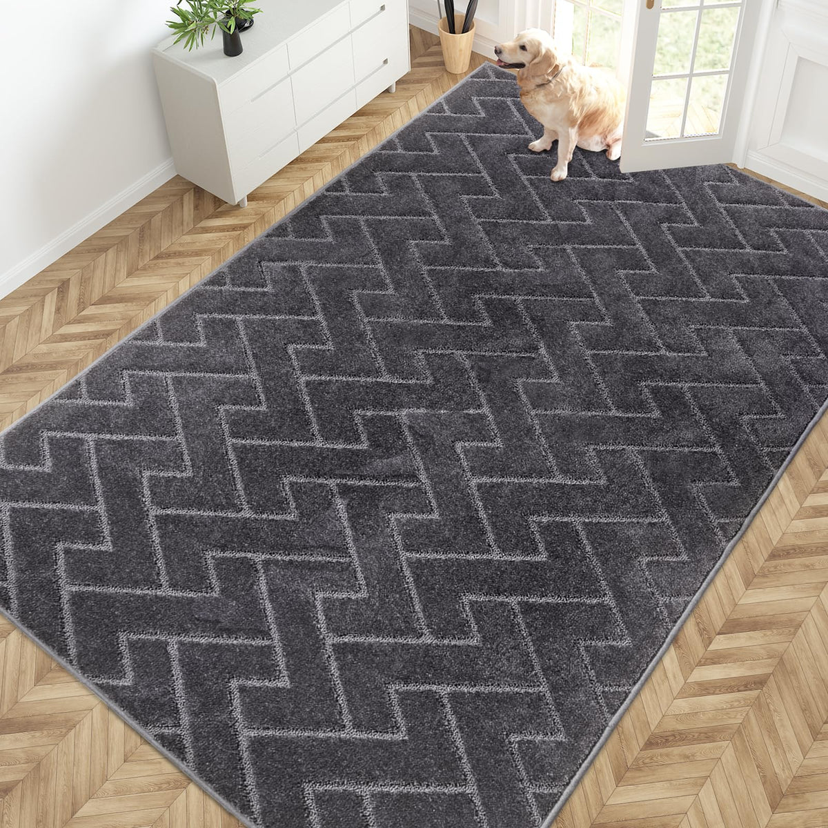 PURRUGS Dirt Trapping Door Mat Indoor Entrance, 32" x 47", Taupe