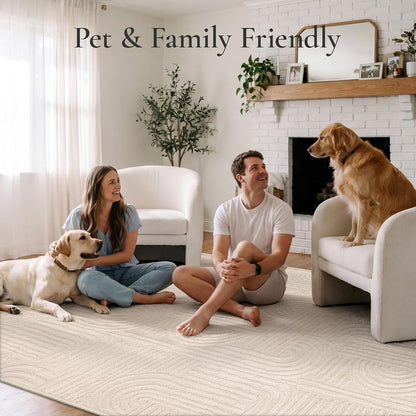 GENIMO Beige Rug 5x7 Washable Area Rugs for Living Room, Soft High Low Pile