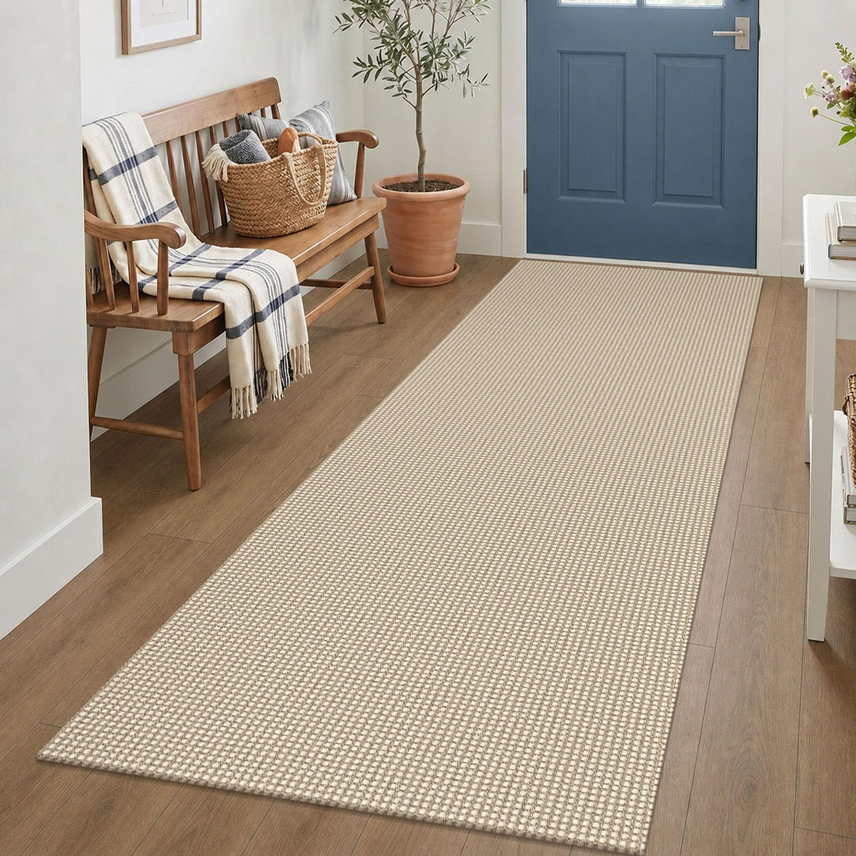 IOHOUZE Small Area Rug 2x3 Washable Woven Rugs for Entryway Non Slip Rubber Backed Front Door Rugs Indoor Doormat Throw Rug Floor Carpet for Entrance Kitchen, Cream/Beige
