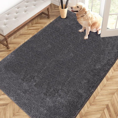 PURRUGS Dirt Trapping Indoor Door Mat, 34" x 59", Charcoal