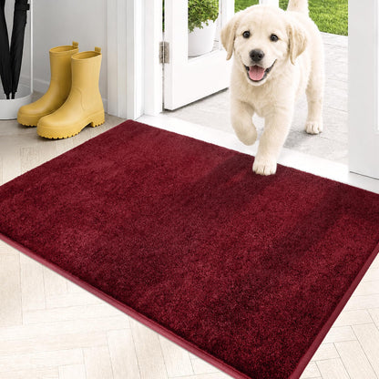 PURRUGS Dirt Trapping Indoor Door Mat, 34" x 59", Charcoal