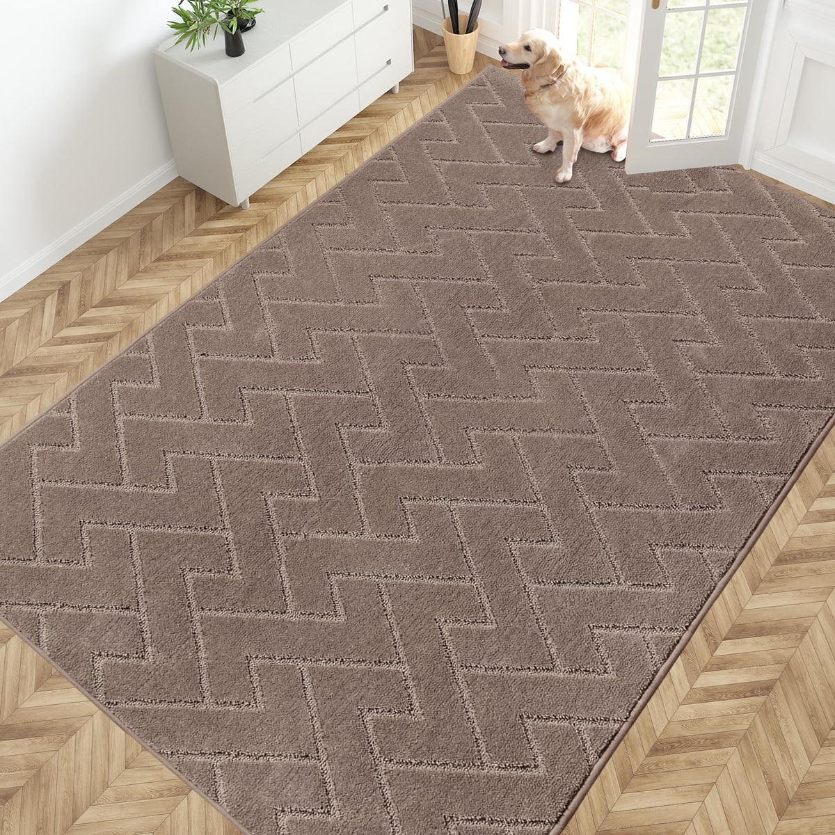 PURRUGS Dirt Trapping Door Mat Indoor Entrance, 32" x 47", Taupe