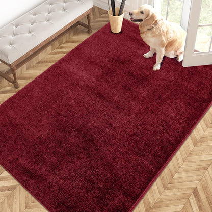 PURRUGS Dirt Trapping Indoor Door Mat, 34" x 59", Charcoal