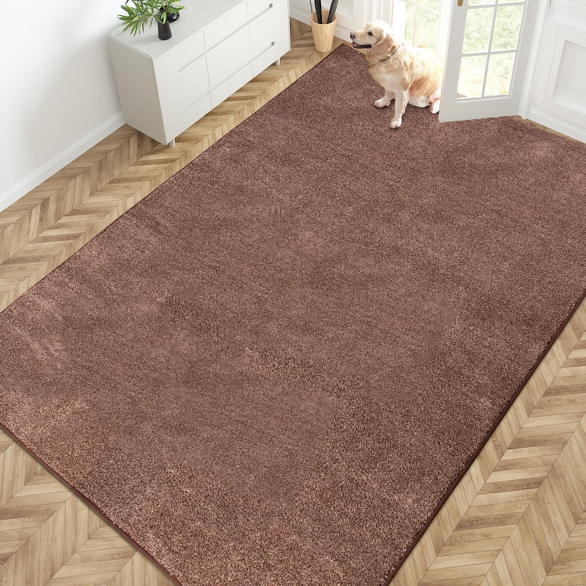PURRUGS Dirt Trapping Indoor Door Mat, 31.5" x 47", Charcoal