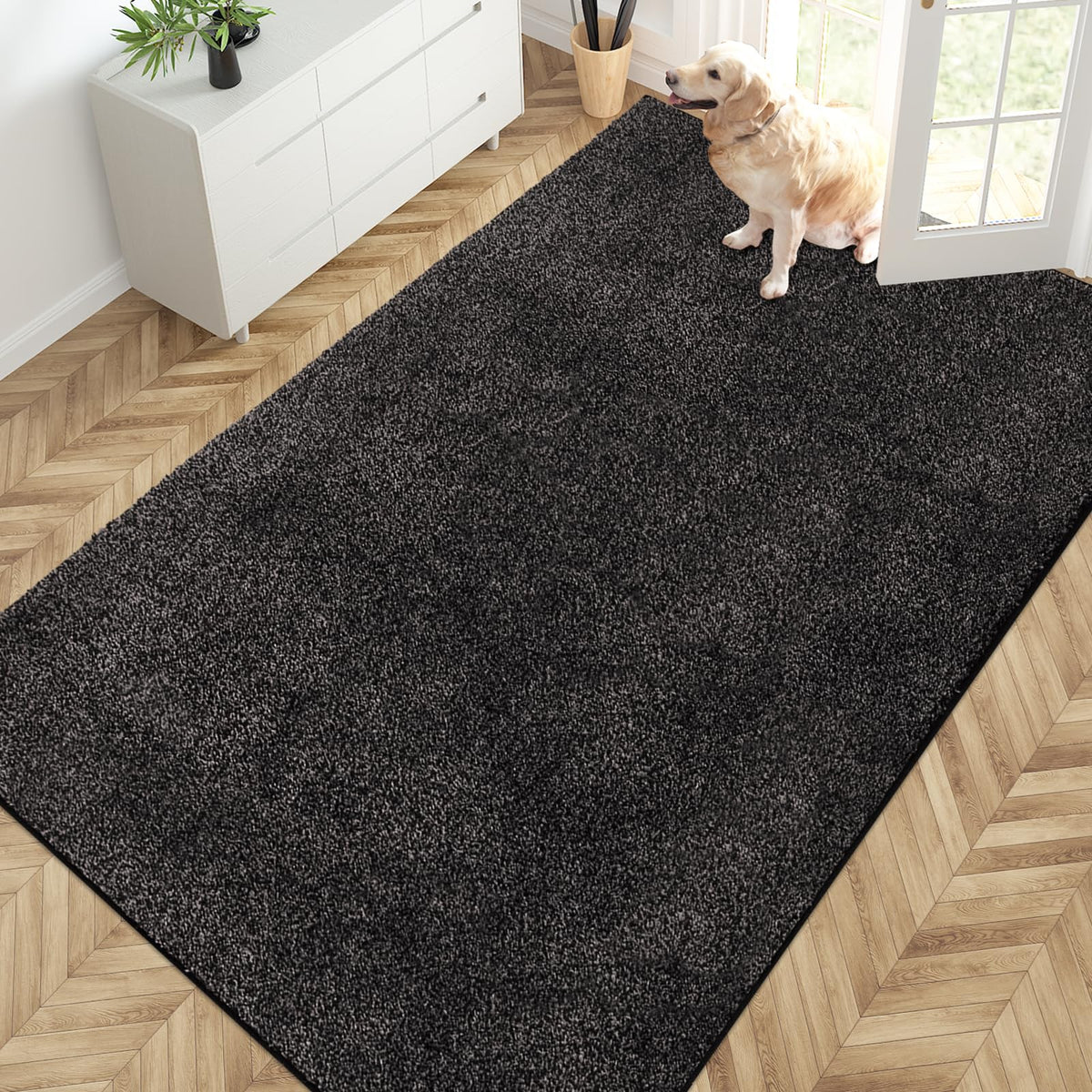 PURRUGS Dirt Trapping Indoor Door Mat, 31.5" x 47", Charcoal