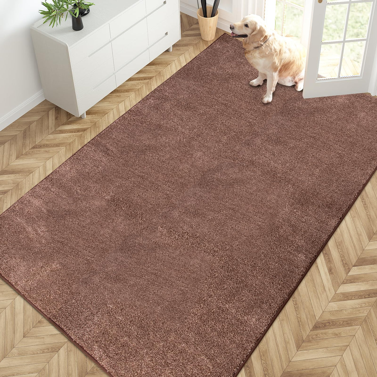 PURRUGS Dirt Trapping Indoor Door Mat, 34" x 59", Charcoal