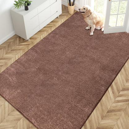 PURRUGS Dirt Trapping Indoor Door Mat, 34" x 59", Charcoal