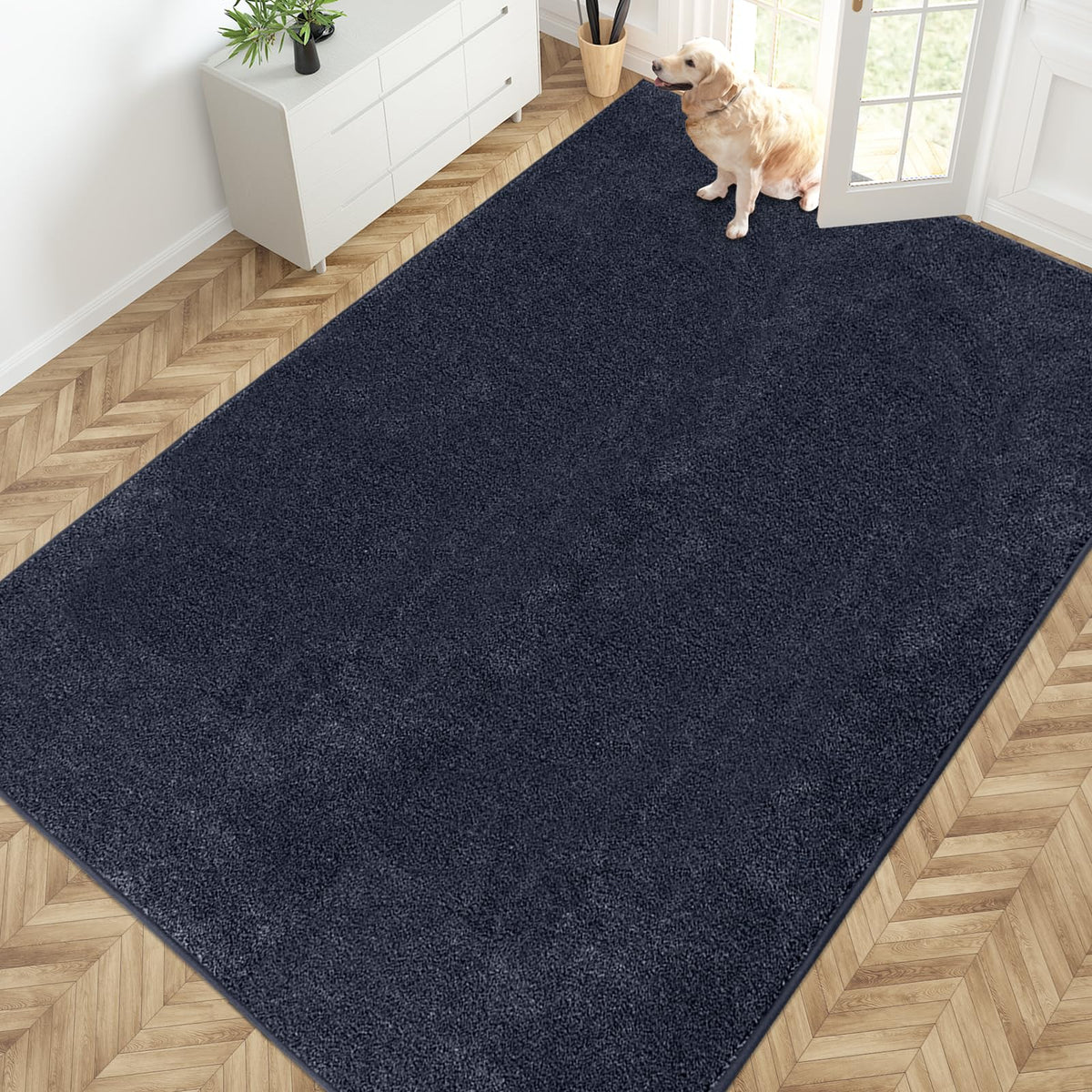 PURRUGS Dirt Trapping Indoor Door Mat, 34" x 59", Charcoal