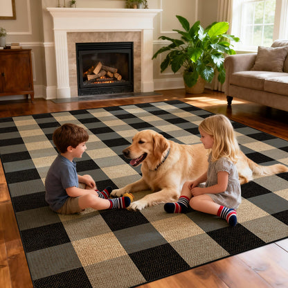 Washable 8x10 Modern Rainbow Easy Jute Indoor Outdoor Rug for Living Room