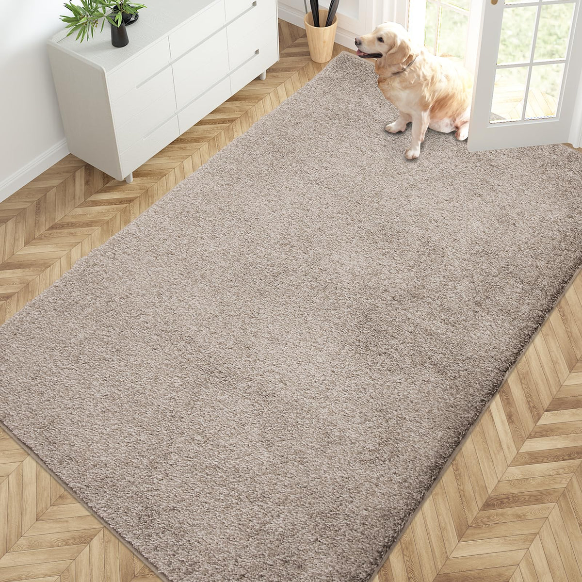 PURRUGS Dirt Trapping Indoor Door Mat, 31.5" x 47", Charcoal