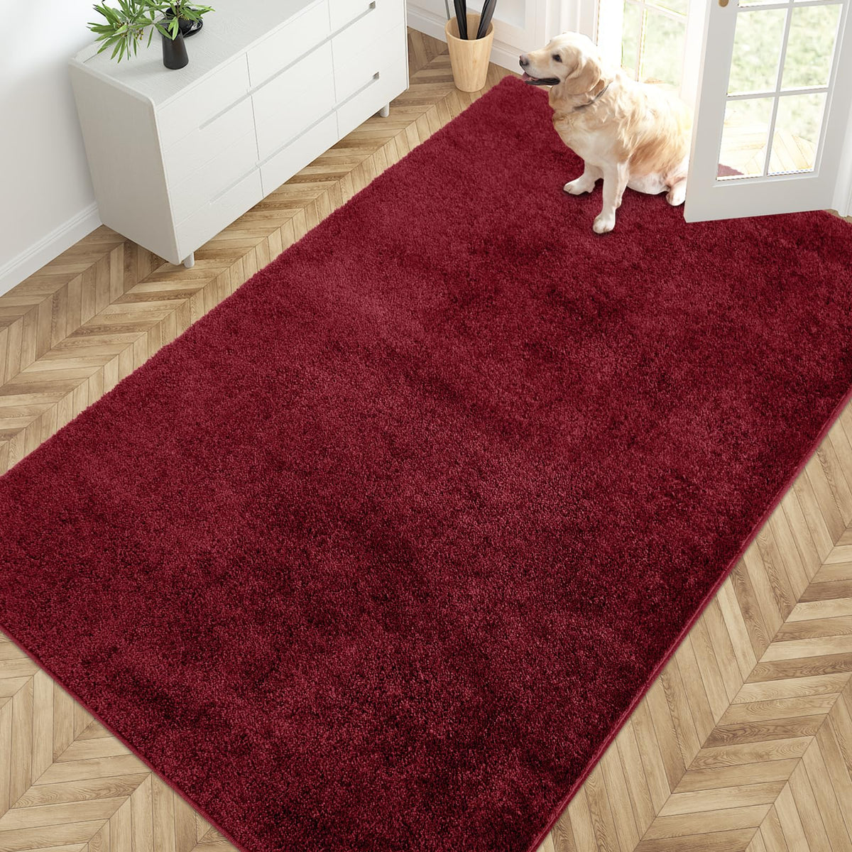 PURRUGS Dirt Trapping Indoor Door Mat, 34" x 59", Charcoal