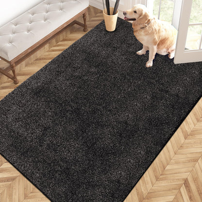 PURRUGS Dirt Trapping Indoor Door Mat, 34" x 59", Charcoal