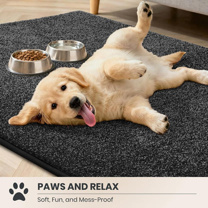 PURRUGS Dirt Trapping Indoor Door Mat, 31.5" x 47", Charcoal