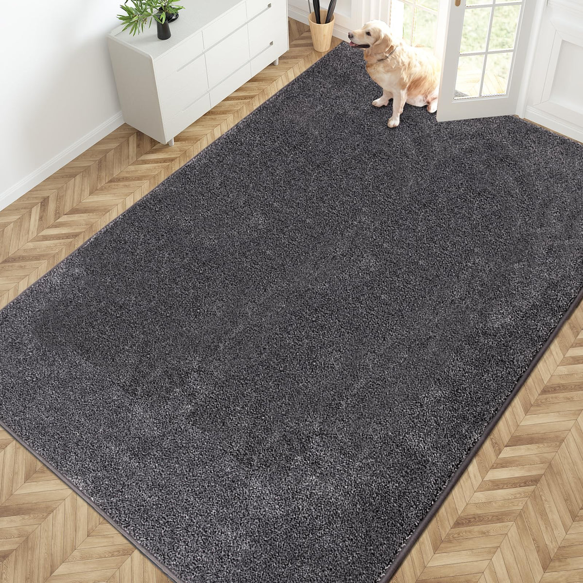 PURRUGS Dirt Trapping Indoor Door Mat, 34" x 59", Charcoal