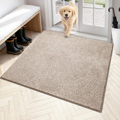 PURRUGS Dirt Trapping Indoor Door Mat, 34" x 59", Charcoal