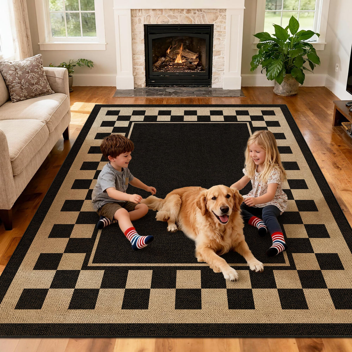 Washable 8x10 Modern Rainbow Easy Jute Indoor Outdoor Rug for Living Room