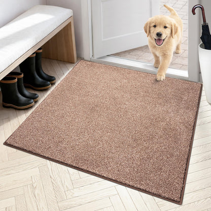 PURRUGS Dirt Trapping Indoor Door Mat, 31.5" x 47", Charcoal