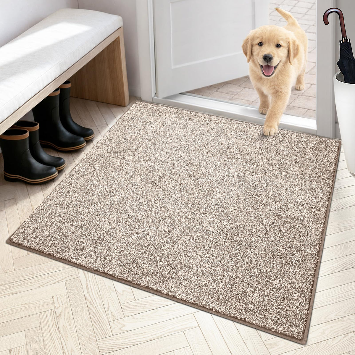 PURRUGS Dirt Trapping Indoor Door Mat, 31.5" x 47", Charcoal