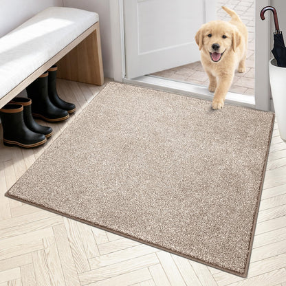 PURRUGS Dirt Trapping Indoor Door Mat, 31.5" x 47", Charcoal