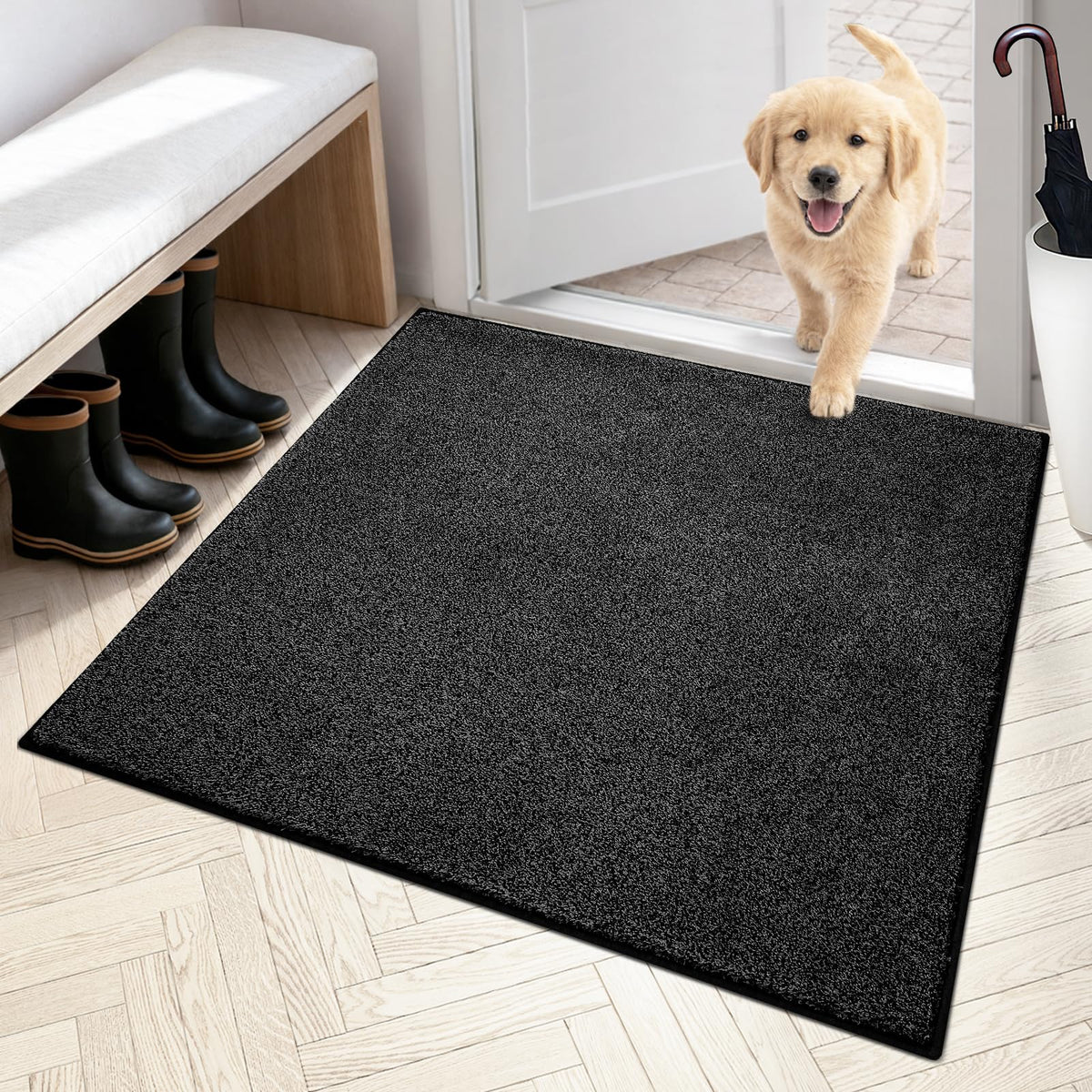PURRUGS Dirt Trapping Indoor Door Mat, 31.5" x 47", Charcoal