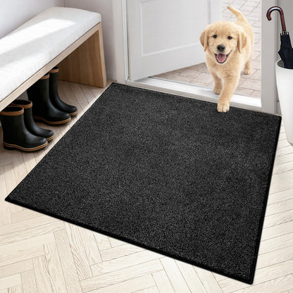 PURRUGS Dirt Trapping Indoor Door Mat, 34" x 59", Charcoal