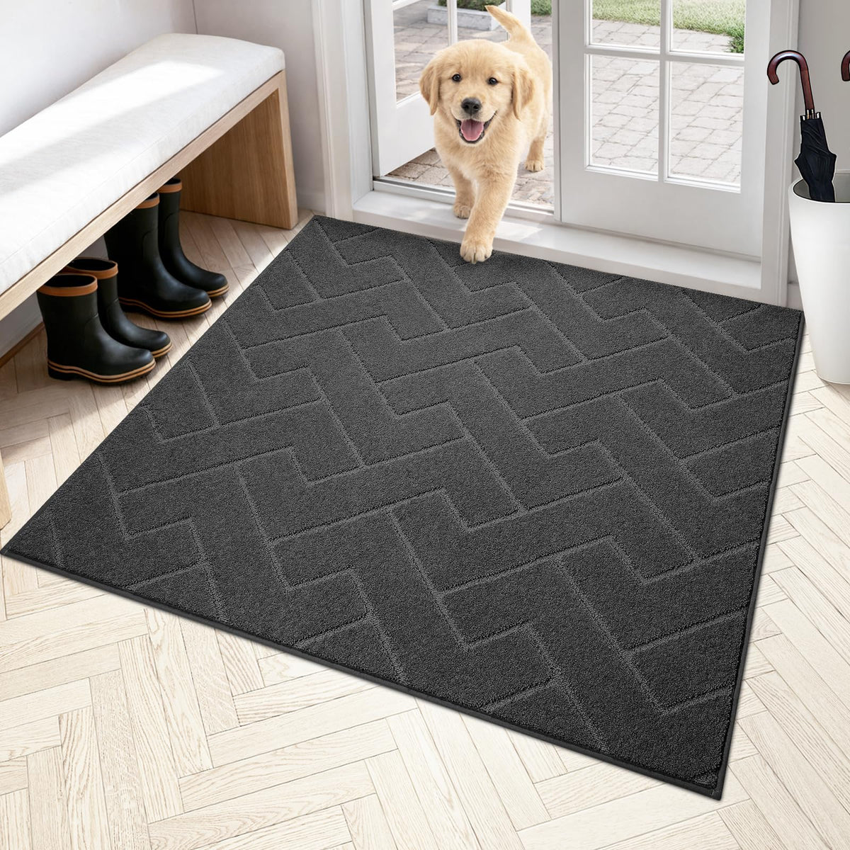 PURRUGS Dirt Trapping Door Mat Indoor Entrance, 32" x 47", Taupe