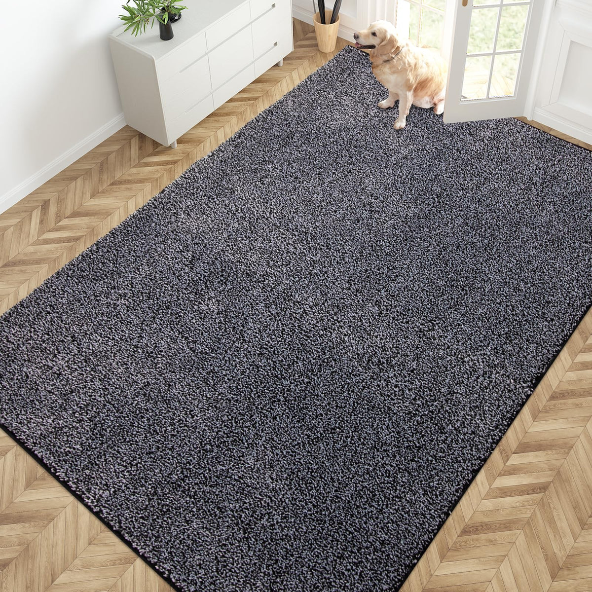 PURRUGS Dirt Trapping Indoor Door Mat, 31.5" x 47", Charcoal