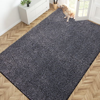 PURRUGS Dirt Trapping Indoor Door Mat, 31.5" x 47", Charcoal