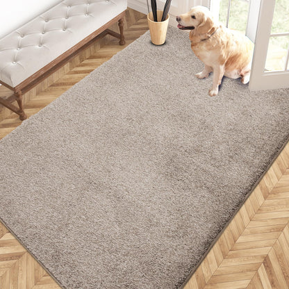 PURRUGS Dirt Trapping Indoor Door Mat, 31.5" x 47", Charcoal