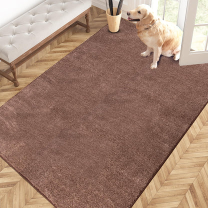 PURRUGS Dirt Trapping Indoor Door Mat, 31.5" x 47", Charcoal