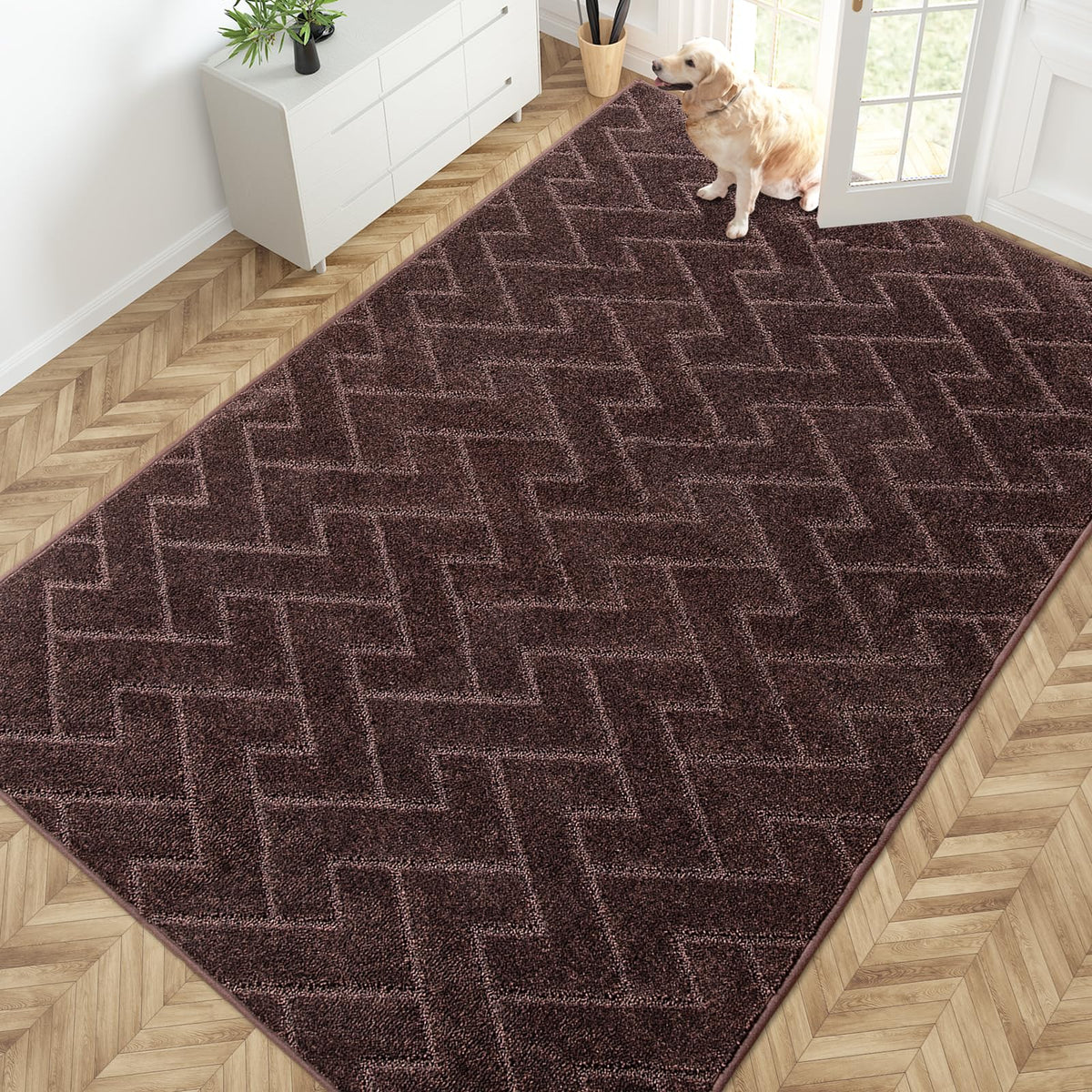PURRUGS Dirt Trapping Door Mat Indoor Entrance, 32" x 47", Taupe