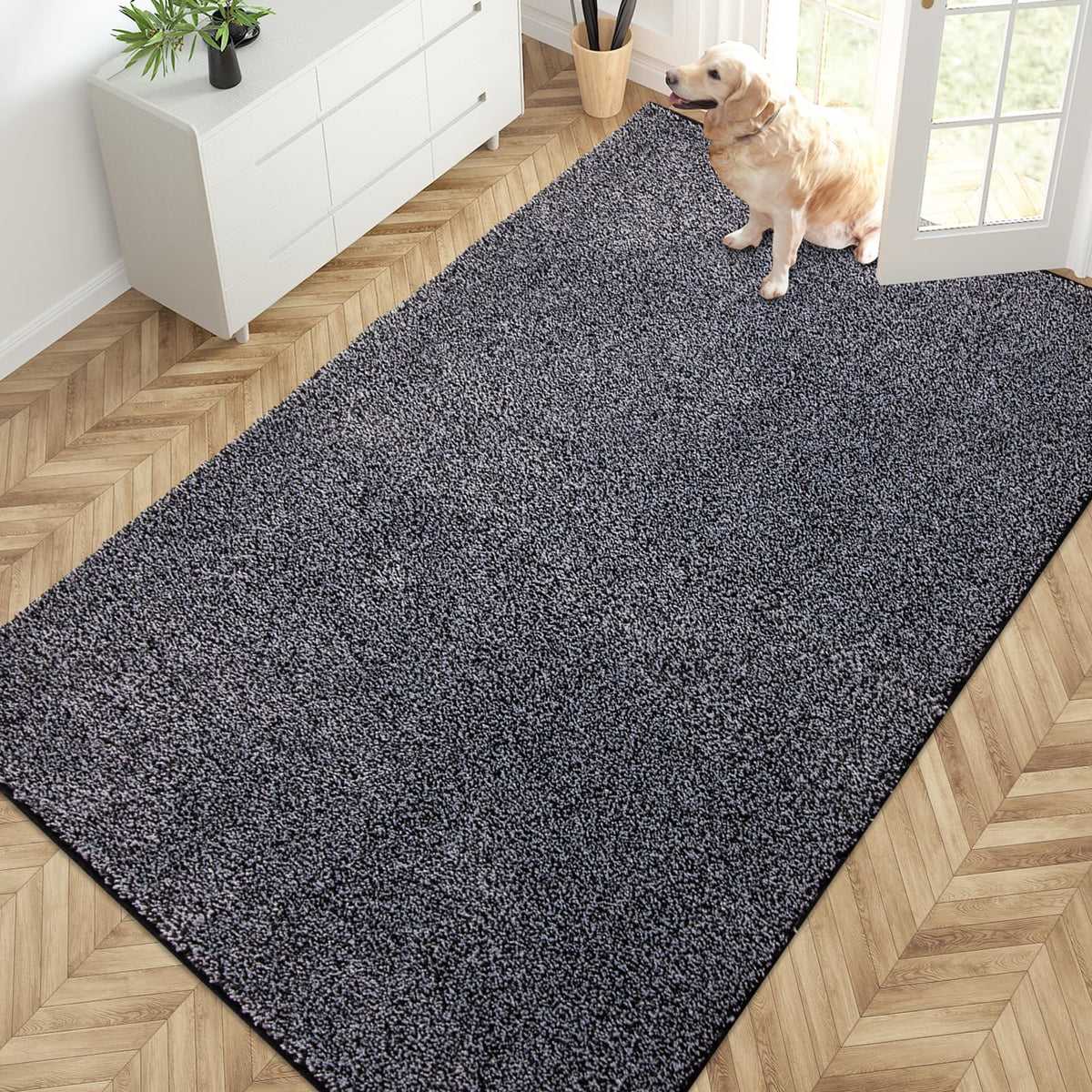 PURRUGS Dirt Trapping Indoor Door Mat, 31.5" x 47", Charcoal