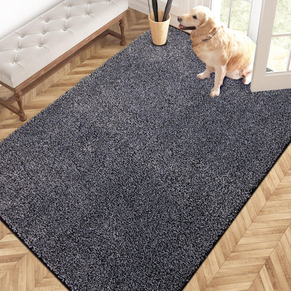 PURRUGS Dirt Trapping Indoor Door Mat, 31.5" x 47", Charcoal
