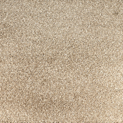 Peak Performance Peel and Stick Carpet Tiles with Attached Cushion, Easy DIY Install, Soft Residential Carpet, Seamless Appearance (Everest, 10 Tiles - 22.5 Square Feet)